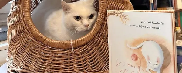 “Greta se ima za gospodično v zgodnjih srednjih letih.”