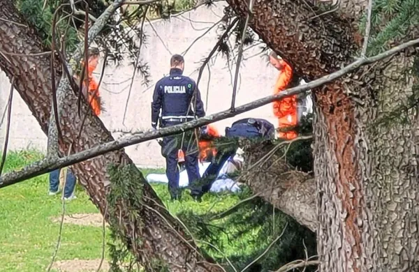 V Olmu na&scaron;li truplo