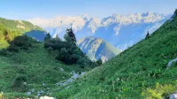 Na območju planine Golobar so obsežni tereni za pašo drobnice in 
bogati gozdovi, ki brez krčenja in vzdrževanja propadajo.  