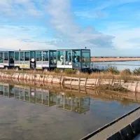 Kmalu bo za vodene oglede skupin začel voziti električni vlakec.