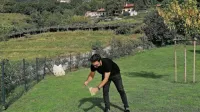 Udeleženci festivala se  tudi kot turisti vračajo v  okolje, ki je 
pregovorno inspirativno in v katerem se takoj udomačijo. 