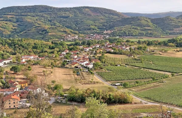 V Vipavski dolini, kjer ima Arso skupno tri postaje, je bilo okoli 
minus ena stopnja Celzija, kar trenutno cvetoče drevje še nekako 
zmore, je ocenil Gregor Gregorič z oddelka za agrometeorologijo 
na Arsu.