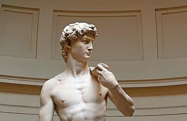 Michelangelo je Davida klesal od leta 1501 do leta 1504 iz enega 
bloka marmorja. Prikazuje nekdanjega judovskega kralja Davida, 
ki je zaslovel s tem, da je v dvoboju s fračo pokončal orjaka 
Goljata. David velja za enega od simbolov italijanske renesanse. 
Foto: Jörg Bittner Unna/Wikipedia 