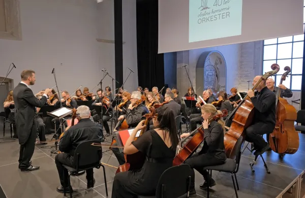 Obalni komorni orkester in dirigent Žiga Cerar.
