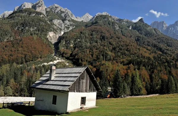 Mladi bodo imeli z vozovnico interrail v poletnih mesecih dostop 
do vseh vlakov in večine avtobusov na območju Alp.