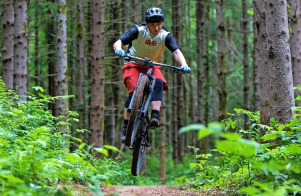 Gorskokolesarski park Robidišče Trail Center, ki so ga morali 
zapreti zaradi nasprotovanja nekaterih lastnikov, to sezono zanesljivo ne bo odprt. 