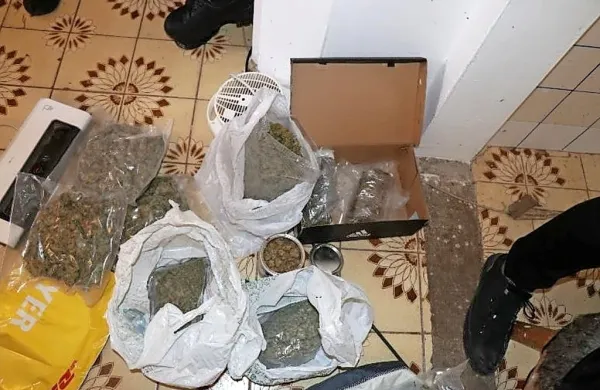 Koprski kriminalisti  so  lani   razbili  združbi, ki  sta    skrbeli  za  ulično  
preprodajo  prepovedanih  drog  v  Istri.  