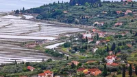 Dobra dva kilometra dolg Jernejev kanal se vije ob robu krajinskega parka Sečoveljske soline.