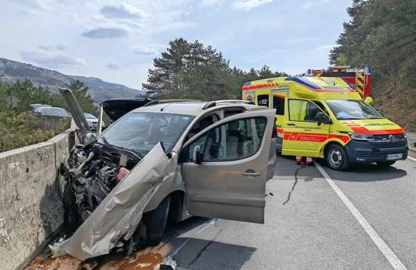 Minuli   konec  tedna  jo je najhuje skupil domačin na odcepu za 
Hrastovlje. 

