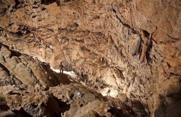 V letu 2022 je ajdovsko društvo skupaj z Jamarskim klubom 
Borovnica in Društvom za raziskovanje jam Luka Čeč Postojna 
preplezalo, preplazilo in preiskalo 800 metrov novih jamskih 
rovov, v zadnjih treh letih pa Predjamski  sistem podaljšalo kar za 
pet kilometrov.