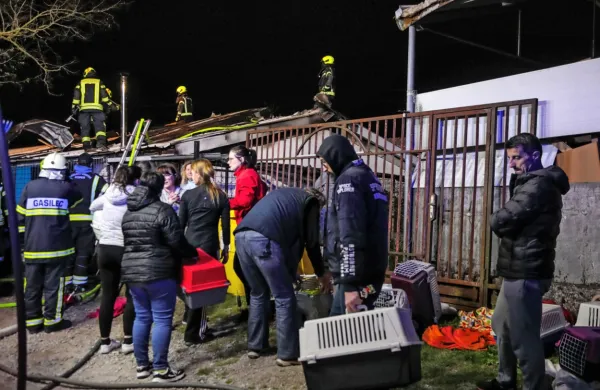Po objavi  novice  o požaru  v  mačjem  zavetišču, so  na  pomoč priskočile  številne  prostovoljke,  ki  so    muce  vzele  
pod  svojo  streho.  Društvo  Mačja  preja  potrebuje  pomoč  pri  obnovi   začasnega  mačjega  doma.    