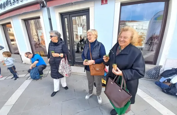 Baziliko  so dobile tudi tri znane piranske učiteljice, seveda zdaj v 
pokoju, ki so poučevale številne generacije piranskih otrok in so se 
po naključju ustavile na trgu:   Dora Kožar, Jasna Ralijan in Tončka 
Senčar (na fotografiji z leve). 