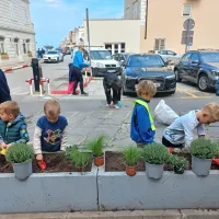 Bazilika iz vrtca za Pirančane