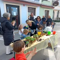 Bazilika iz vrtca za Pirančane
