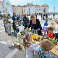 Bazilika iz vrtca za Pirančane