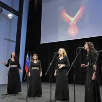 Koprski feniks gre v drugo ligo