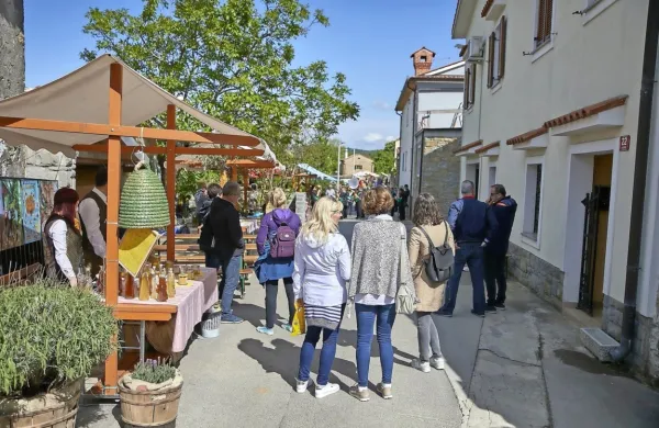 V Padni 11. Praznik olja in bledeža