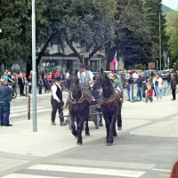 Nova Gorica že v tradicionalnem primežu prvega maja
