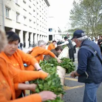 Nova Gorica že v tradicionalnem primežu prvega maja
