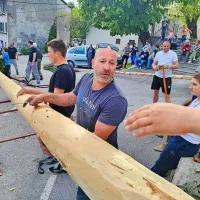 Tradicijo ročnega postavljanja mlajev predajajo naprej