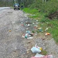 Gozd ni smetnjak