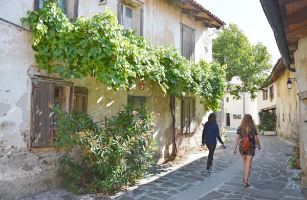 Slovenska turistična organizacija išče najboljšo turistično vas v 
letu 2023. Izbranih osem destinacij bo nominirala za izbor 
Svetovne turistične organizacije.