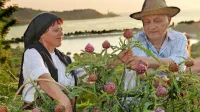V znamenju dobrot iz artičok