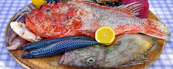 Ribe, bogate z omega 3 maščobnimi kislinami, spadajo med živila 
za izboljšanje inteligence.