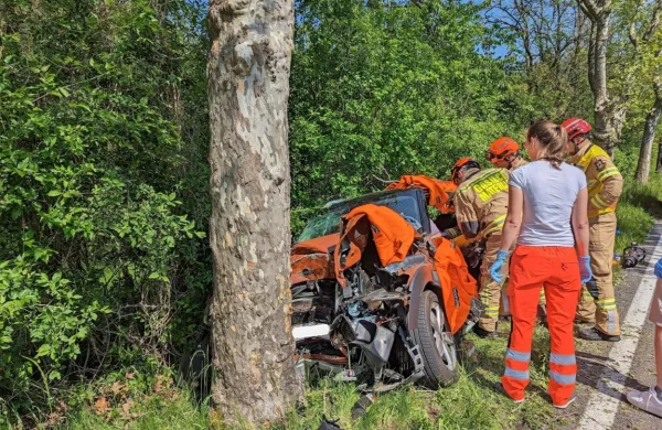 Sopotnik  se je  ob  trku  v drevo  huje  poškodoval.