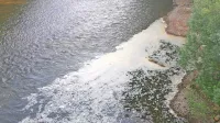 Analize morajo še opraviti, a menda ne gre za onesnaženje, ampak za naraven pojav.    