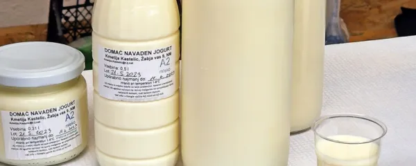 Zakaj piti mleko in kak&scaron;no?