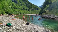 Psi so manj zaželeni na območjih, kjer je veliko kopalcev. 