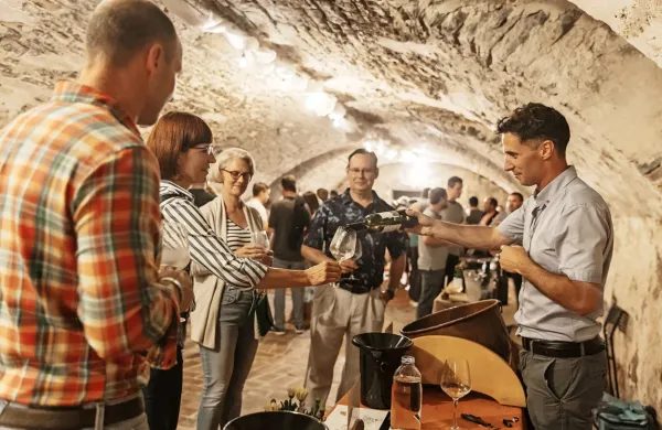 Nevihte so letošnji festival zelena z grajskega dvorišča pregnale v grajsko klet, a to obiskovalcev ni motilo. 