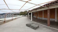 Kdo bi najel plažo za pse