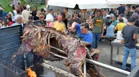 Peter Kante je od jutra do večera bdel nad pečenjem 800-kilogramske junice.