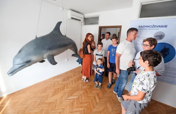 Glavna atrakcija je maketa delfina v realni velikosti, ki so ga 
poimenovali Morigenos. 