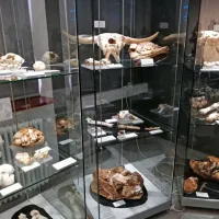 Poletna muzejska noč, Notranjski muzej Postojna