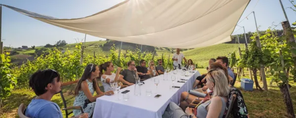 Degustacija na posestvu Albiana v Nemški vasi. V ozadju stoji Jernej Žaren. 