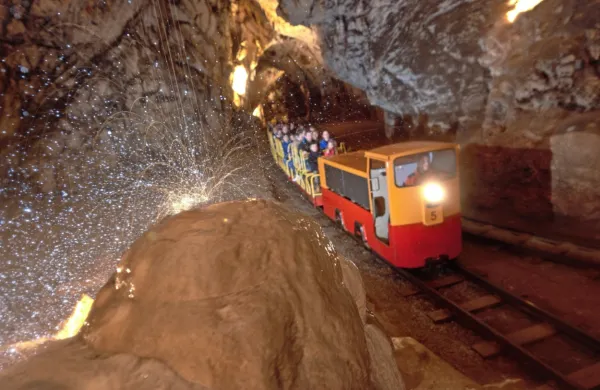 Na postojnski občini menijo, da je čas za prevetritev določb glede 
višine koncesijske dajatve Postojnske jame, na ilirskobistriški pa, 
da bi morali biti do nje upravičeni tudi oni.   