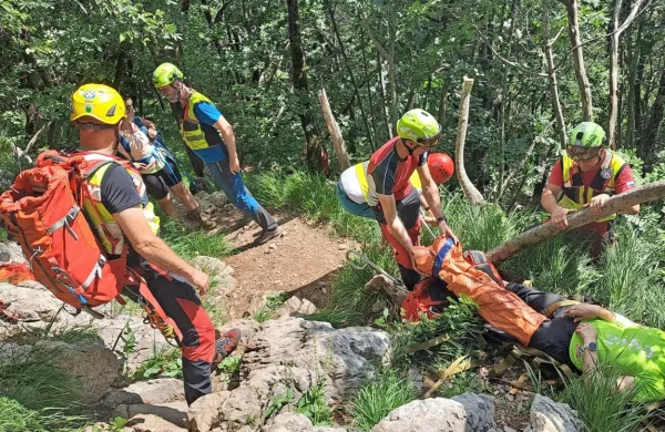 Na pomoč so poškodovani planinki na Nanosu priskočili postojnski in ajdovski gorski reševalci, kasneje pa so jo s helikopterjem odpeljali v ljubljanski klinični center. 