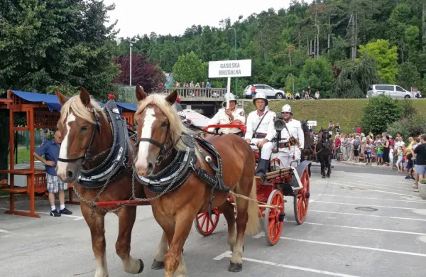 Na jubilejnem 30. Furmanskem prazniku pričakujejo okrog sto 
konjenikov in konjskih vpreg iz vse Slovenije.
