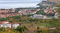 Zemljišče v zahodnih Livadah, na katerem naj bi zraslo še  170 
stanovanj. Prejšnji župan Danilo Markočič je sprva  tam snoval 
neprofitna stanovanja, njegov predhodnik Igor Kolenc pa vrstne 
hiše. 