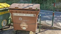 Kruta  smrt  še  ne  enoletne  pitbulke, ki  jo  je  Koprčan  odvrgel  v zabojnik, še  vedno močno odmeva.  