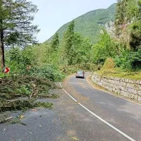 Zaradi naravne ujme so poleg policistov z območja PU Nova Gorica 
posredovale številne gasilske enote, civilne zaščite in delavci 
rednega vzdrževanja cest, ki na cestah odstranjujejo številna 
podrta drevesa in odpravljajo posledice nočnega neurja. 