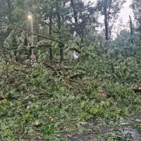 Posledice neurja v Murski Soboti
