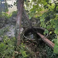 Labradorka Ara je padla v napajališče in sama ni mogla iz vode. Na 
površje so ji pomagali komenski gasilci.