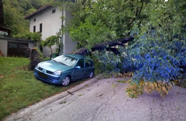 Avtomobil je nesrečno končal pod izruvanim drevesom. 