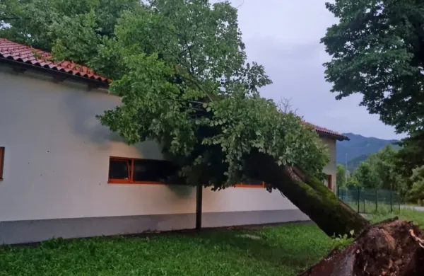 Posledice včerajšnjega neurja na Kobariškem.