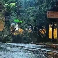 Pri avtobusni postaji v Simonovem zalivu v Izoli