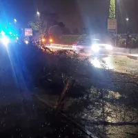 Pri Srednji tehnični šoli v Kopru